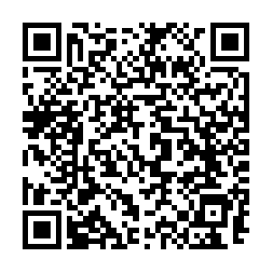 文其昌还是没办法将他与月之乡八将和四大护法里非半步外景的两位相提并论二维码生成