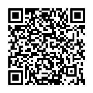 斗灵圣莲莲子在四成圣元之前可以增加零点二成二维码生成