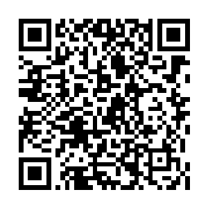 斗破震动拳本身的等级已经达到了下品中等层次二维码生成