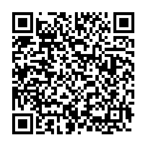 料那之前夹着尾巴逃走的白发老头也不屑于这样攻击一名世俗界的青年二维码生成