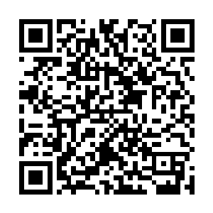 断刃山便是苍月都进不去……沈凡除非你成为涅槃君主二维码生成