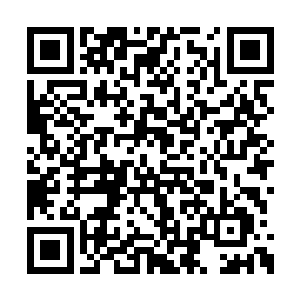 断去的左掌正在以疯狂的速度吸纳着周围的沙尘二维码生成