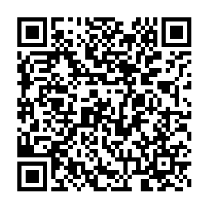 断魂山和玄骨族应该不止魂千里和公羊骨打两个顶尖神海后期高手才是二维码生成