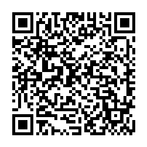 斯内德走出了一个组织者最正常的选择――将足球传给没有人盯防的队友二维码生成