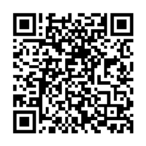 斯内德这个时候刚刚陶醉的用舌头把自己匕首上的鲜血舔干净二维码生成