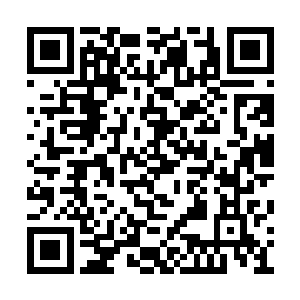 斯图卡上校真的是看在自己在铁血营功劳的份上二维码生成