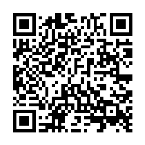 斯科拉的下半生在床上渡过不过只是一件微不足道的事情二维码生成