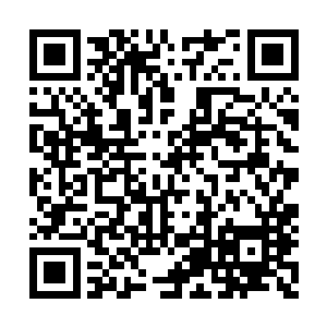 新上任的太子和太子妃携着麒哥儿一起进宫谢恩二维码生成