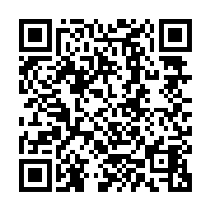 新上任重阳宫掌门不久的玄洪真人才脑袋一热跑到问道崖来告状二维码生成