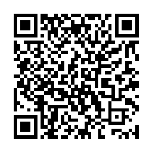新人到了以后首先就是整天整晚的看那些自杀式袭击二维码生成