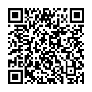 新出炉的这批陶器被大山洞里的人整整的观摩了一天二维码生成