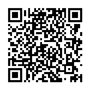 新洛太学院的所有学员在传统上视应武陛下的子弟二维码生成