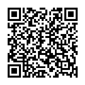 新生代很多血族甚至都倾向于认为青之君王只是一个传说二维码生成