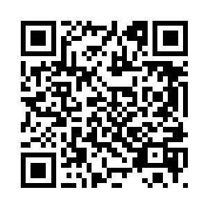 新的花瓶永远不可能变成旧的花瓶二维码生成