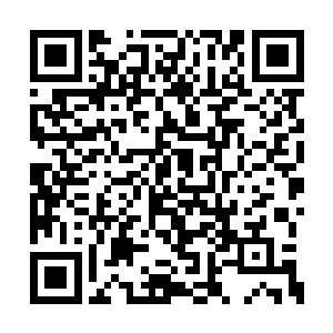 新郎当然是和新娘同时坐在丁长生这辆车的后排二维码生成