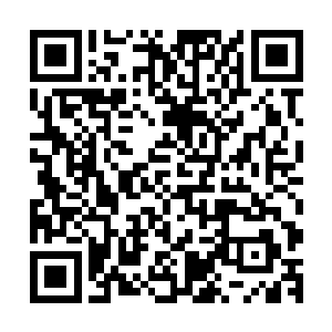方家众人此刻未必明白自家这位天赐先祖到底到底遭遇了什么二维码生成