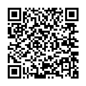 方寒的大部队这就准备进入冰霜宫殿去面对冰霜发誓赫拉兹尔二维码生成
