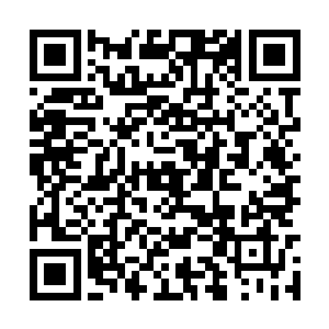 方才他认为夜染等人是不会应战这位玄神级高手了二维码生成