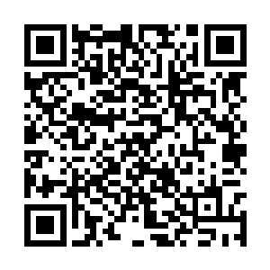 方才杨开检查那十几人的空间的时候他们看的清楚二维码生成