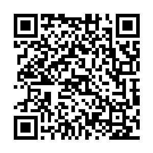 方是要拿他手里掌握的几个刚刚开始栽种橡胶树苗的橡胶园二维码生成