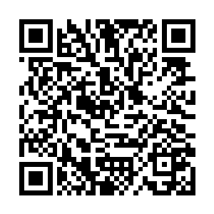 方林所有的注意力几乎都被那一株乌龙草给吸引住了二维码生成