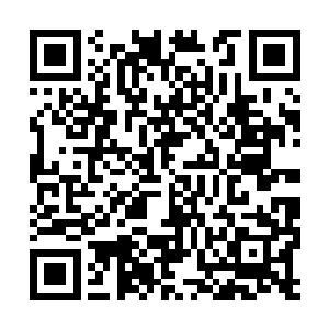 方洪明是准备对病人的脑部进行更深层次的检查的二维码生成