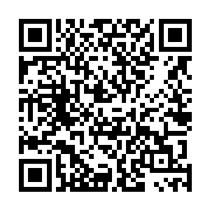 方炎竟然敢当着叶家大半男丁的面做出这种不理智的选择二维码生成