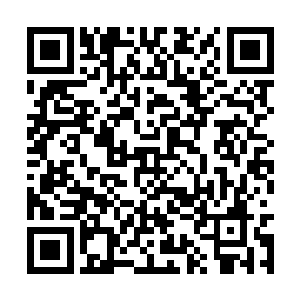 方百花希望的是真能从对方的阵势里找到一丝机会二维码生成