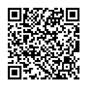 方虎威的视线又转移到了那肤色雪白的金刚鹰身上去了二维码生成