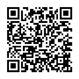 方让大家想起这几乎快被人遗忘的紫鹃第五家族二维码生成