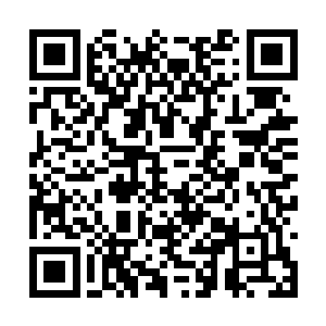 方运又把相同的问题分别问了采买朴梓和大陶厨师二维码生成