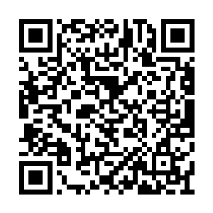 方运才明白为何那些水族用异样的目光看向自己二维码生成