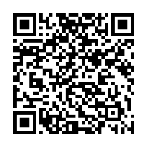 旁边的那个青衣中年人脸上的表情也变得无比的凝重起来二维码生成