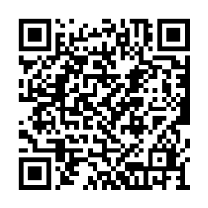 旁边还有其他二十几个大坤剑府铜剑榜上的学员二维码生成