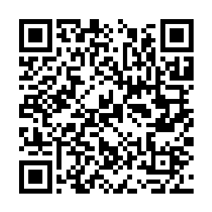 旁边那名小厮见胖子真的把极品金疮药给了姜木很二维码生成