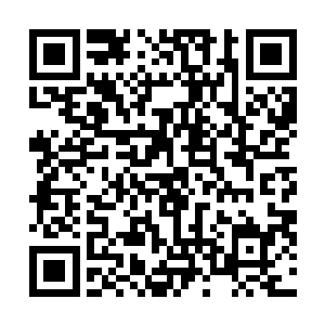 旋即从空间戒指里取出从惜雨那里得到的火炎金抛给剑尘二维码生成