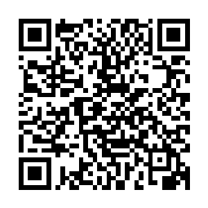 旋即他们便是感觉到他们各自体内的力量源源不断的输送了出去二维码生成