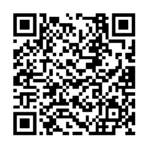 旋转的花瓣宛如死神一般扑向了其中一名传奇强者二维码生成