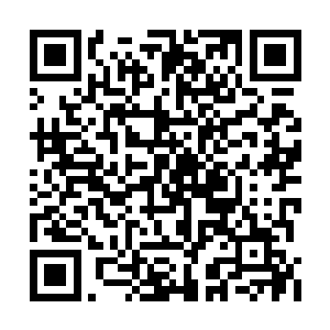 无名老者的到来让沉静的厉王府多了一丝的热闹二维码生成