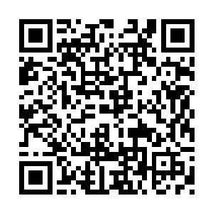 无名边带着许紫烟走向自己开垦的那片地边问道二维码生成