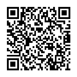 无奈之下只能跟小金再一次的加大了灵力的输出二维码生成