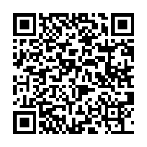 无尽之洋几乎是拼了命才独自一人撑起的四图腾之柱二维码生成