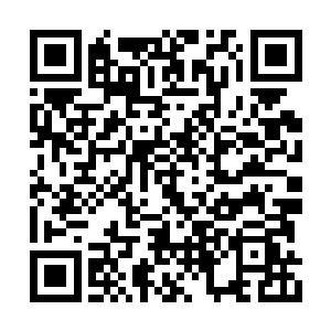 无尽冰冻之力顺着他的筋络血脉向四面八方散开二维码生成