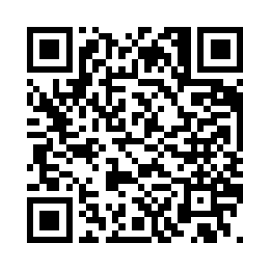 无异于多了两个远超悟道后期的强者二维码生成