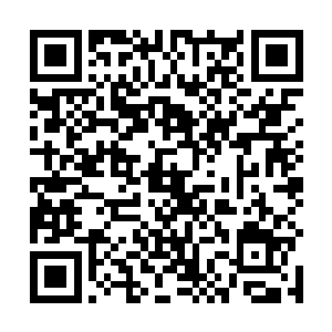 无形的元力震荡将擂台上的青色防御光罩震得呼呼作响二维码生成