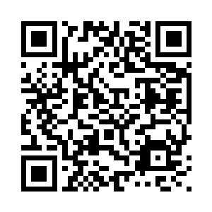 无心柳的柳枝中迸发出了一道绿光二维码生成