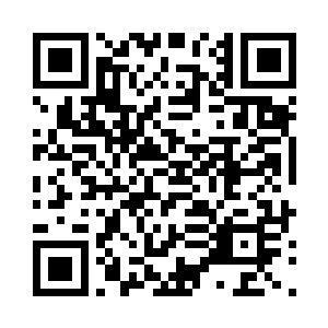 无忧和无悔这两个小家伙在真与尘的呵护下二维码生成