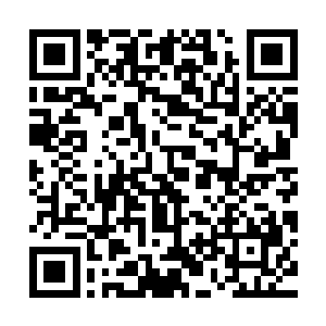 无敌神队六人每个人手中的武器都已经捅进了巨型章鱼的身体里二维码生成