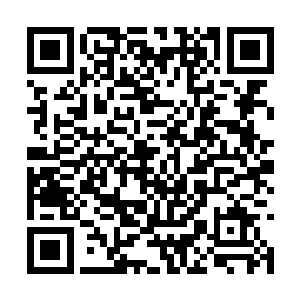 无敌神队几人看着被君教官照顾的无微不至的队长二维码生成