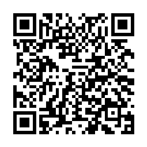 无数七彩斑斓的植物从陨石坑底的大湖中生长出来二维码生成